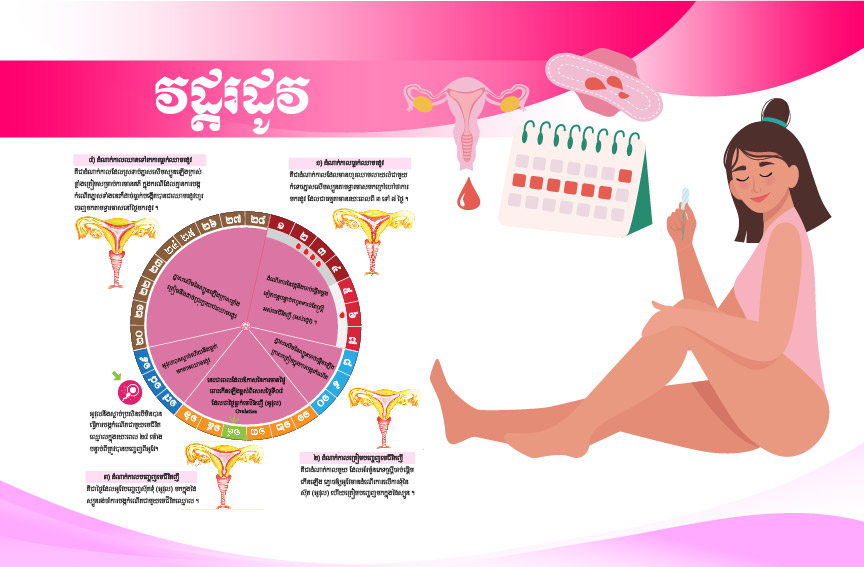 វដ្តរដូវចាប់ផ្តើមនៅពេលដែលក្មេងស្រីមានអាយុចន្លោះពី ១០ ទៅ ១៦ឆ្នាំ ឬយឺតជាងនេះអាចដល់អាយុ ១៧ឆ្នាំ។