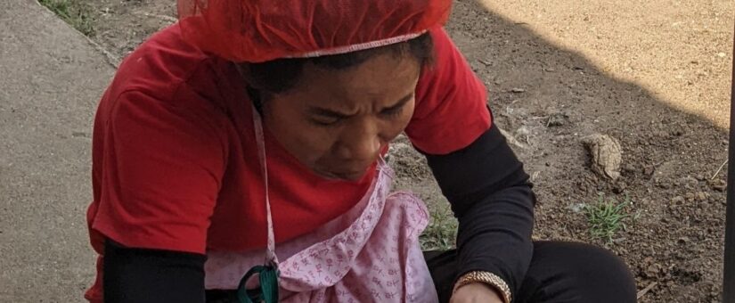 ទំនុកចិត្តពីការទទួលបានការអប់រំពីសុខភាពផ្លូវភេទ និងបន្តពូជដែលត្រឹមត្រូវ