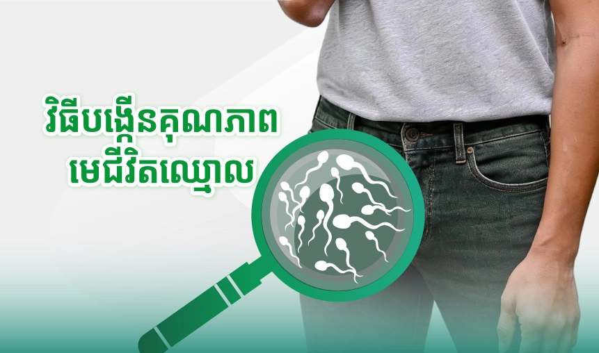 តើបុរសត្រូវធ្វើអ្វីខ្លះ ដើម្បីជួយបង្កើនចំនួន និងគុណភាពមេជីវិតឈ្មោល?
