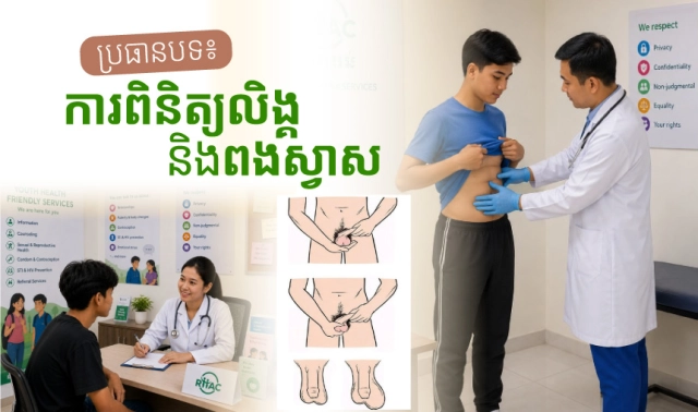 ប្រធានបទ៖ ការពិនិត្យលិង្គ និងពងស្វាស