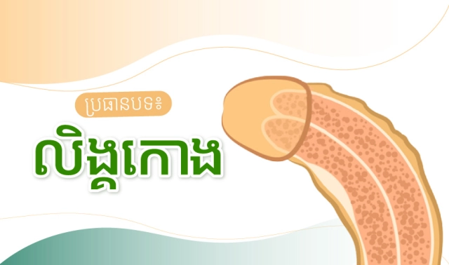 ប្រធានបទ៖ លិង្គកោង