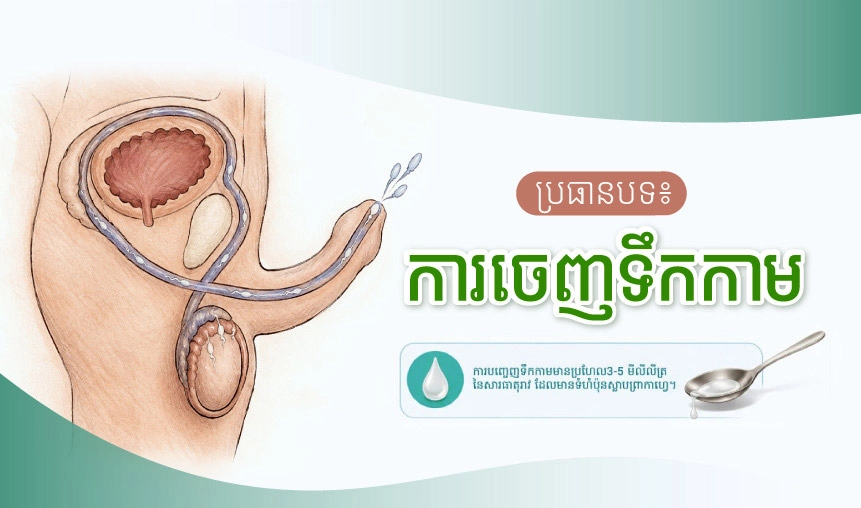 ប្រធានបទ៖ ការចេញទឹកកាម