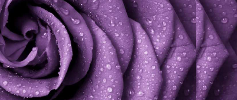 តើសន្ទះព្រហ្មចារីយ៏អាចធ្វើការដេរ ឬវះកាត់ដែរឬទេ?